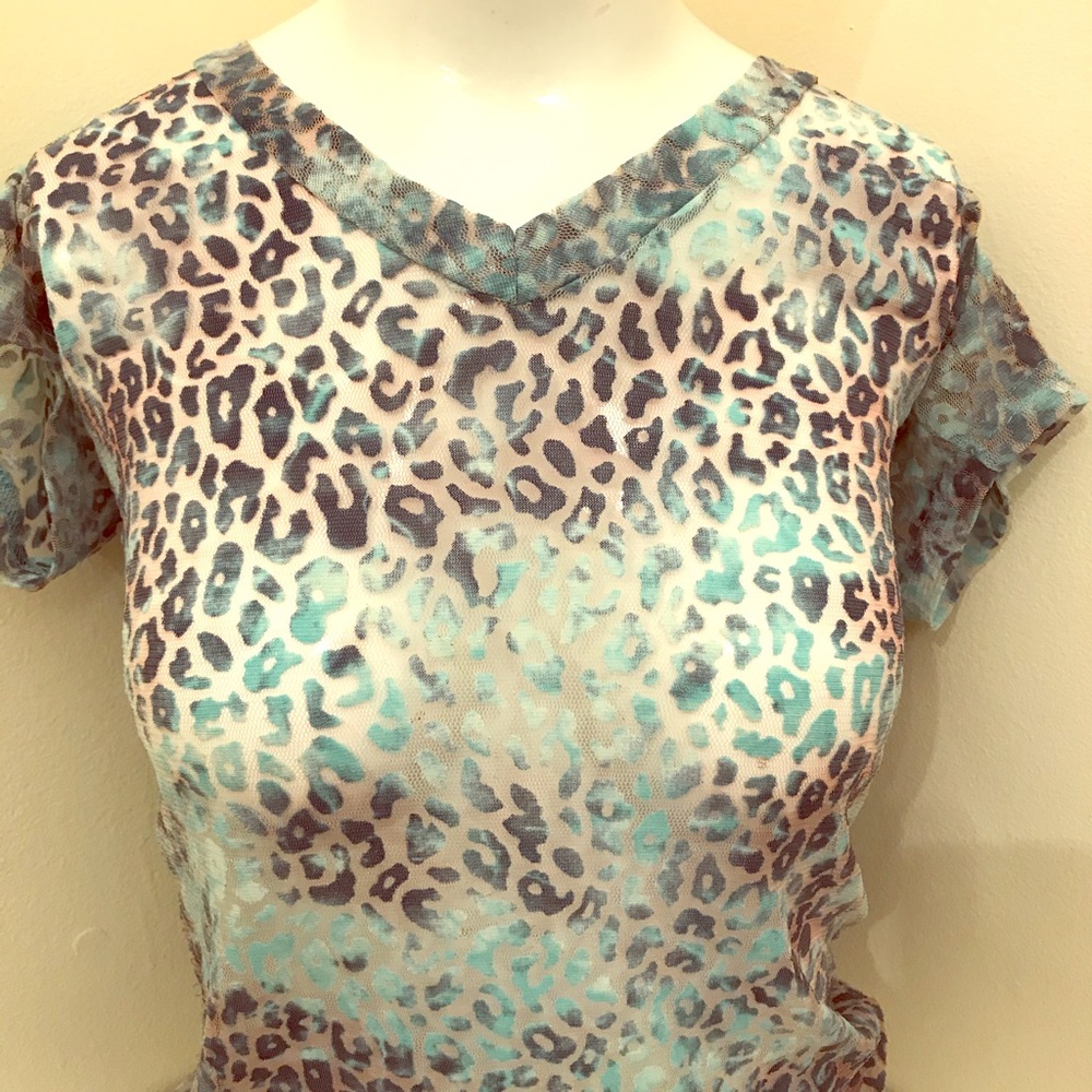 Blue Sheer Top